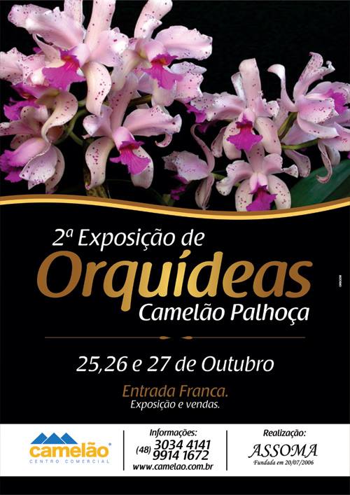 2ª Exposição de Orquídeas no Camelão Palhoça
