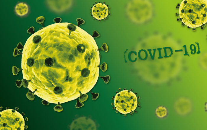 Coronavírus em SC: Comunidade científica se manifesta contrária à flexibilização do distanciamento social