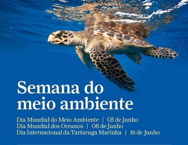 Projeto Tamar na Semana do Meio Ambiente e Dia Internacional da Tartaruga Marinha