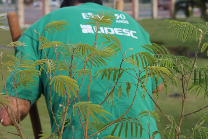 Projeto Aflora Udesc promove Semana de Educação Ambiental