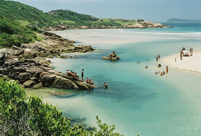 Exposição "Riquezas Naturais do Litoral Catarinense" de Plínio Bordin