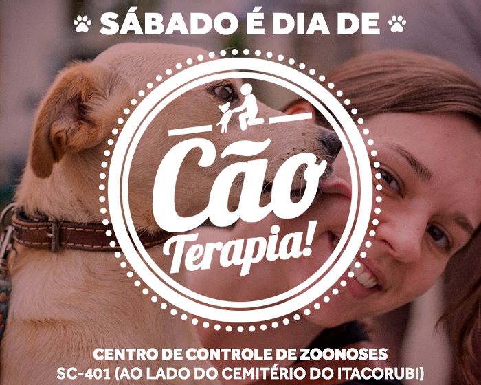 Projeto Cão Terapia abriga cães e gatos para adoção