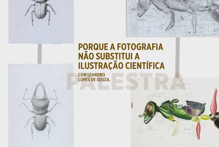 Palestra Porque a fotografia não substitui a Ilustração Científica com Leandro Lopes de Souza