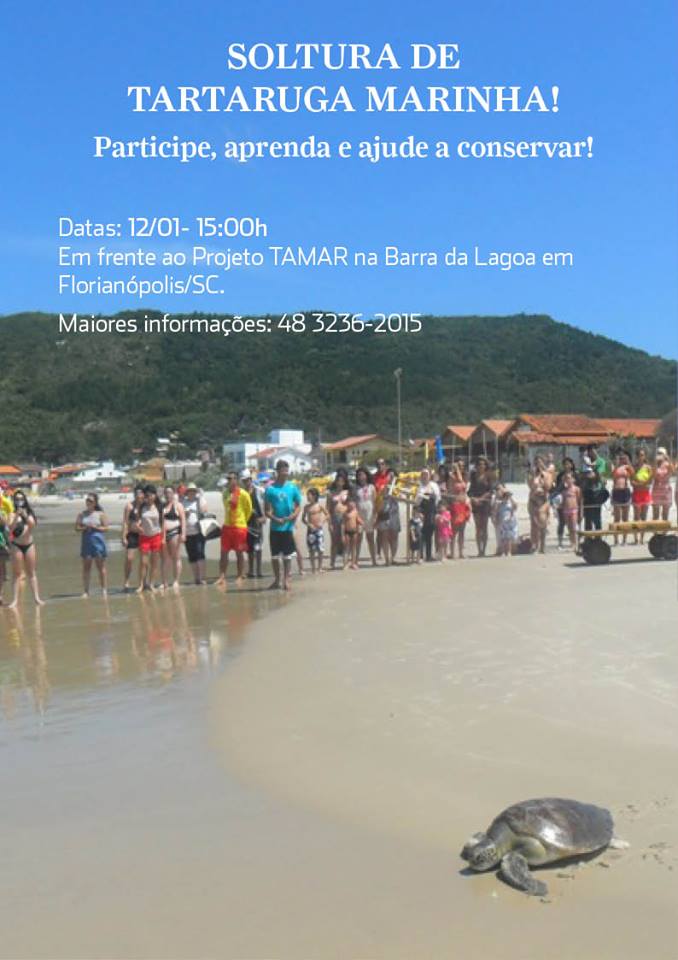 1ª Soltura de tartaruga marinha na Barra da Lagoa em 2014!