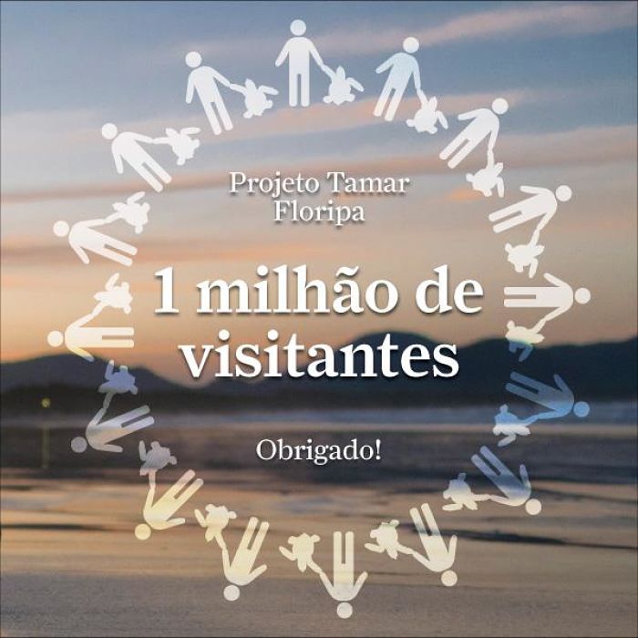 Projeto Tamar Florianópolis recebe o seu Visitante 1 Milhão