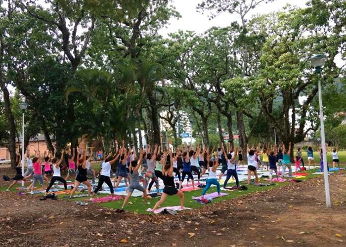Aulas gratuitas de yoga e plantas medicinais no Jardim Botânico