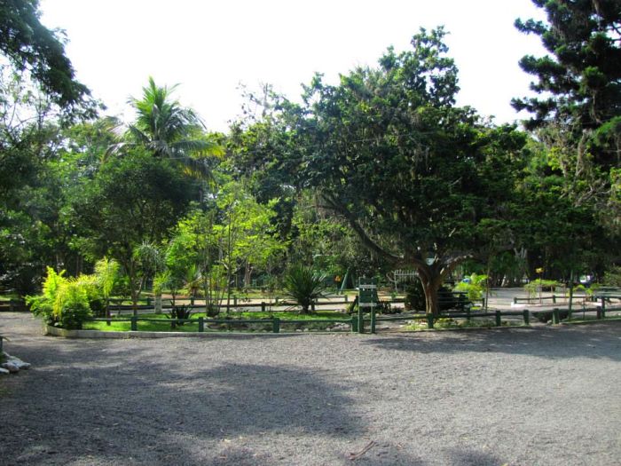 Oficina de meditação gratuita ao ar livre no Horto Florestal do Córrego Grande