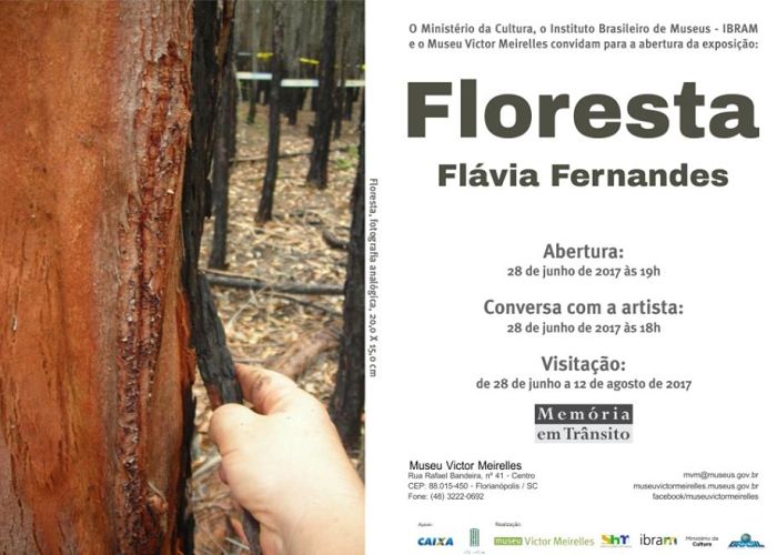Exposição "Floresta" de Flávia Fernandes