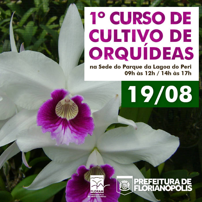 Curso Cultivo de Orquídeas para iniciantes no Parque da Lagoa do Peri