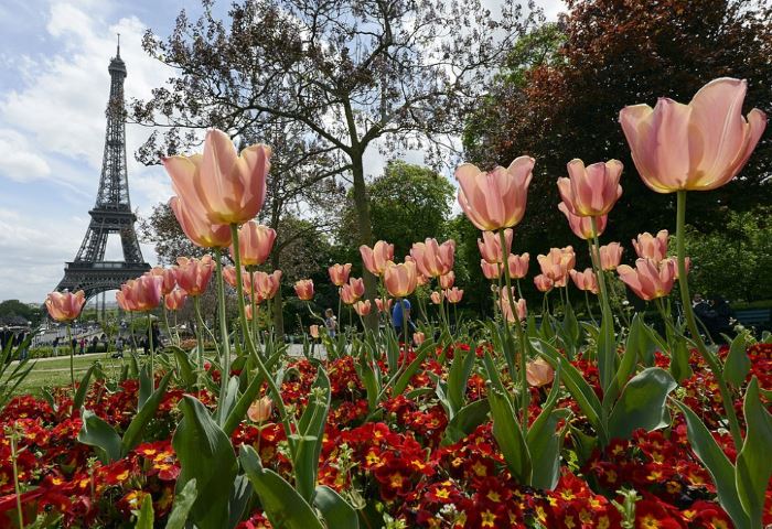 Primavera parisiense com mais de três mil flores e oficinas de jardinagem no Beiramar Shopping