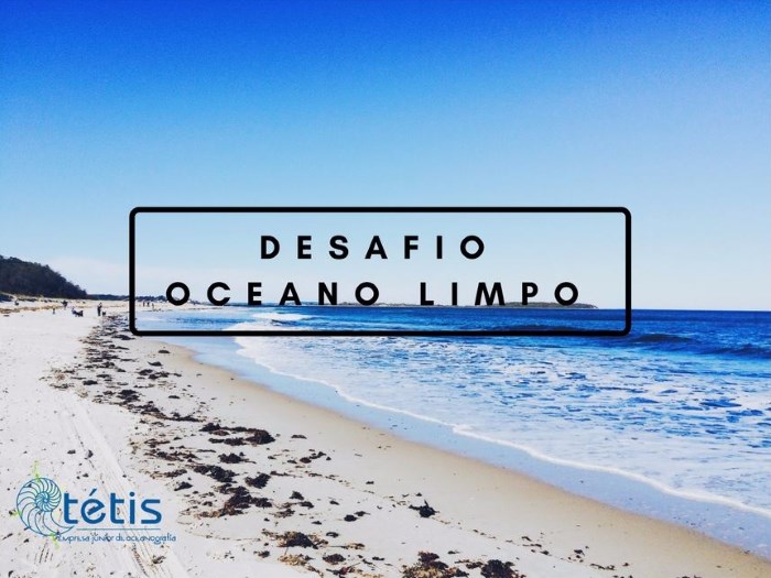 Desafio Oceano Limpo promove limpeza das praias de Florianópolis