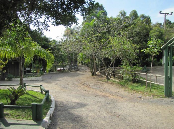 Oficina gratuita de Vermicompostagem no Parque Ecológico do Córrego Grande