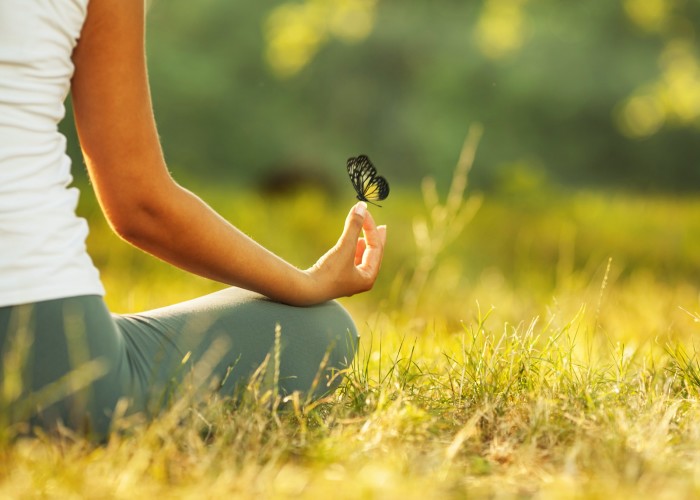 Evento gratuito de yoga, meditação e palestras ao ar livre no Parque de Coqueiros - cancelado