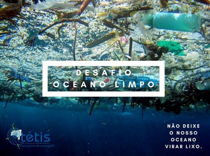 Desafio Oceano Limpo promove mutirão de limpeza em praias de Florianópolis