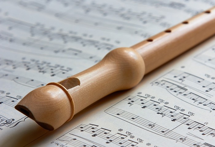 Udesc Ceart abre inscrições para cursos gratuitos de flauta doce e técnica Klauss Vianna