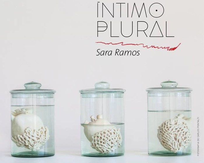 Exposição "Íntimo Plural" de Sara Ramos