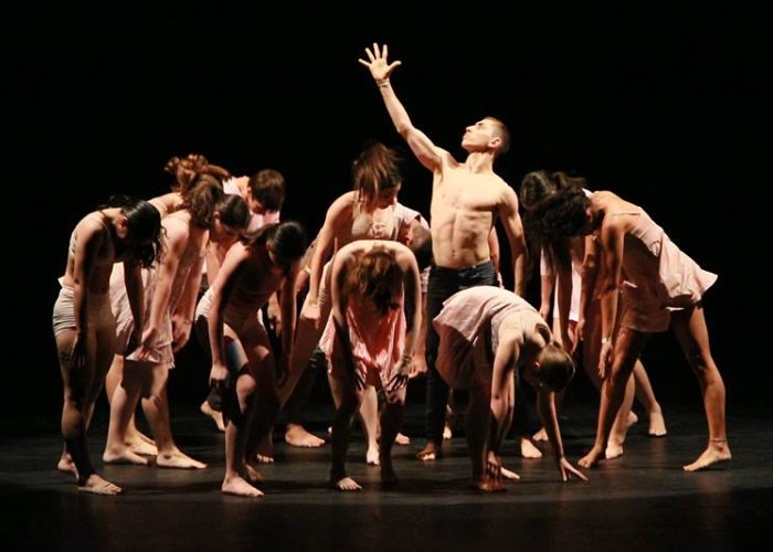 13º Festival Santa Catarina Dança apresenta 278 coreografias em cinco dias