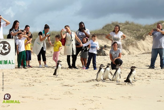 Praias de Floripa recebem atividades gratuitas de educação ambiental